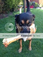 DaphwithBone_zpsaf27e46b.jpg