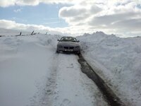 20130401_153023.jpg