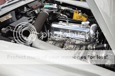 dsc_0369_zps68bkvqwx.jpg