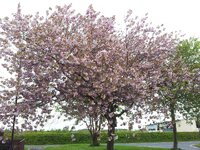 20150510_161712.jpg