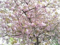 20150510_161726.jpg