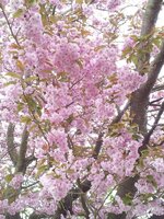 20150510_161634.jpg