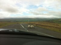 Northumberland%20017_zps1dbajqfz.jpg Northumberland%20017_zps1dbajqfz.jpg