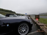 P5240039_zpszjl3ilpr.jpg