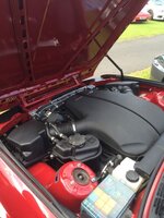 IMG_3929.jpg