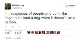 bill%20murray_zps8qmsyrkd.jpg