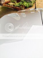 bonnetreflection_zps15037401.jpg