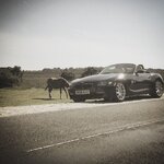 IMG_2751_zpsi0ykug2n.jpg