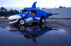 17.Dolphin4.jpg