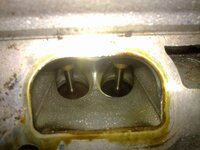 demonvalve.jpg