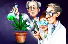 cannabis-scientist-cartoon-750x482.jpg