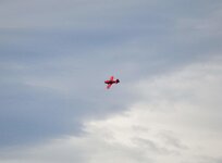 24550879006_d0b9e02ac5_b.jpg 24550879006_d0b9e02ac5_b.jpg