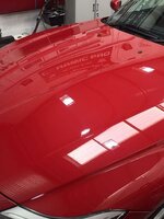 normal_IMG_1983.jpg