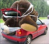 Big-Teddy-Bear-for-Valentines-Day-14-Small-Car.jpg