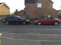 IMG_0126_zpsyfq3d7yz.jpg