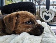20170422_194806-01_zpsptupv4ra.jpg