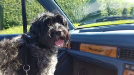 20170526_104459_zpsoaayaz7f.jpg
