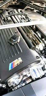 20170611_195035_zpsai9xhr0c.jpg