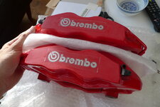P1620159.jpg
