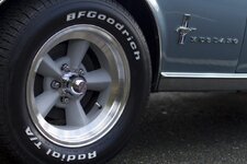 MG_5583-1024x683.jpg