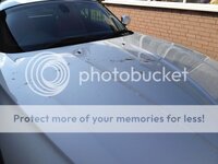 IMG_0085.jpg