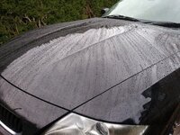 2012-04-14172423.jpg