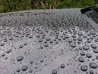 2012-04-14172412.jpg