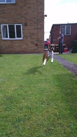 IMAG0177ellie.jpg