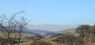 IMG_1052.jpg