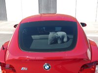 rP1060864.jpg