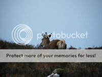 2012-05-19002006.jpg