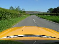 SAM_0567.jpg