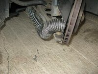 IMG_8446.jpg