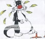 Sylvester.jpg
