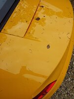 2012-06-12115009-1.jpg