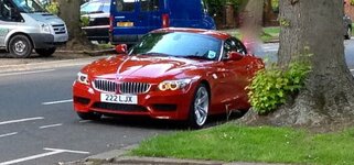 IMG_4785tree-2.jpg IMG_4785tree-2.jpg