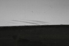 IMG_0731.jpg