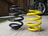IMG_8565.jpg