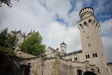 IMG_4985.jpg