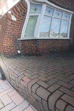 IMG_1206.jpg