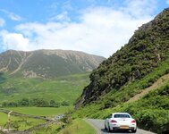 IMG_3520.jpg