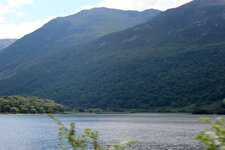 IMG_3516.jpg