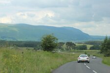 IMG_3427.jpg