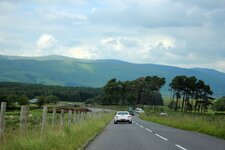 IMG_3430.jpg