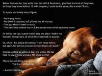 a-dogs-last-will.jpg