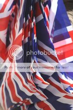 IMG_8751.jpg