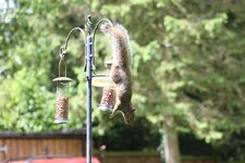 IMG_6679.jpg