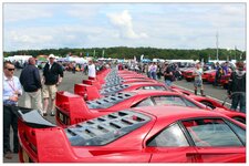 IMG_3822.jpg