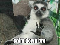 Calm+down.jpg Calm+down.jpg