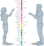 how_men_and_women_see_colors.jpg how_men_and_women_see_colors.jpg